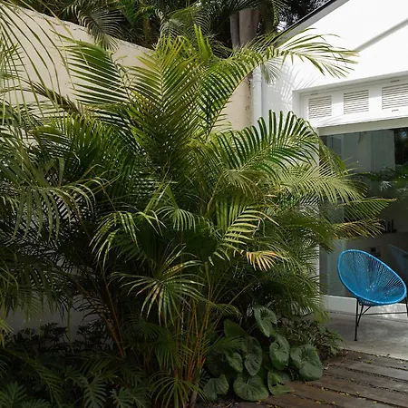 The Park By Ires Lar 아파트 산타크루스데 테네리페