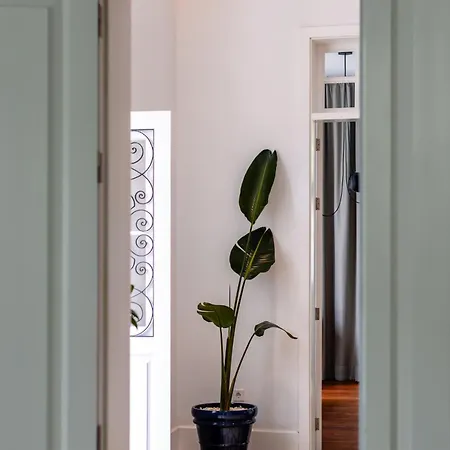 The Park By Ires Lar 아파트 *